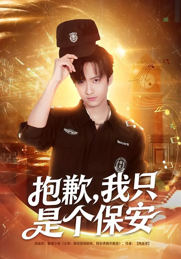 抱歉,我只是个保安